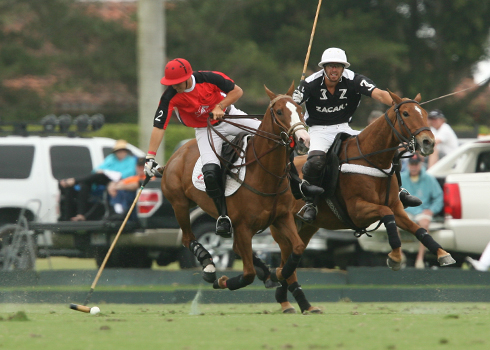 Photos-C. V. Whitney semifinal-2-27-13
