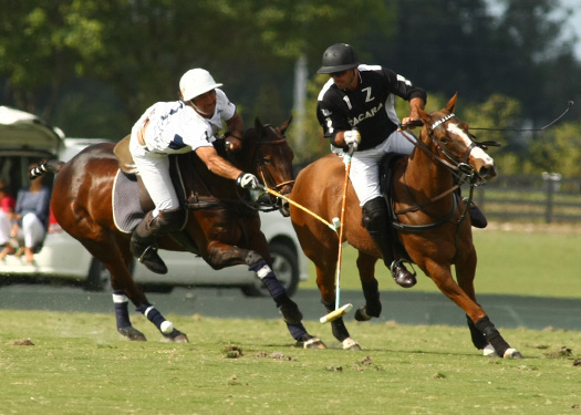 Polo tournament polo usa polo top polo match mt brilliant zacaravs 4
