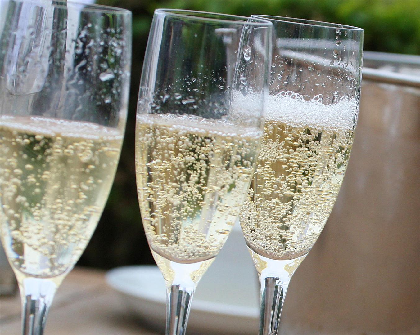 Ham Polo Club Great Summer Start