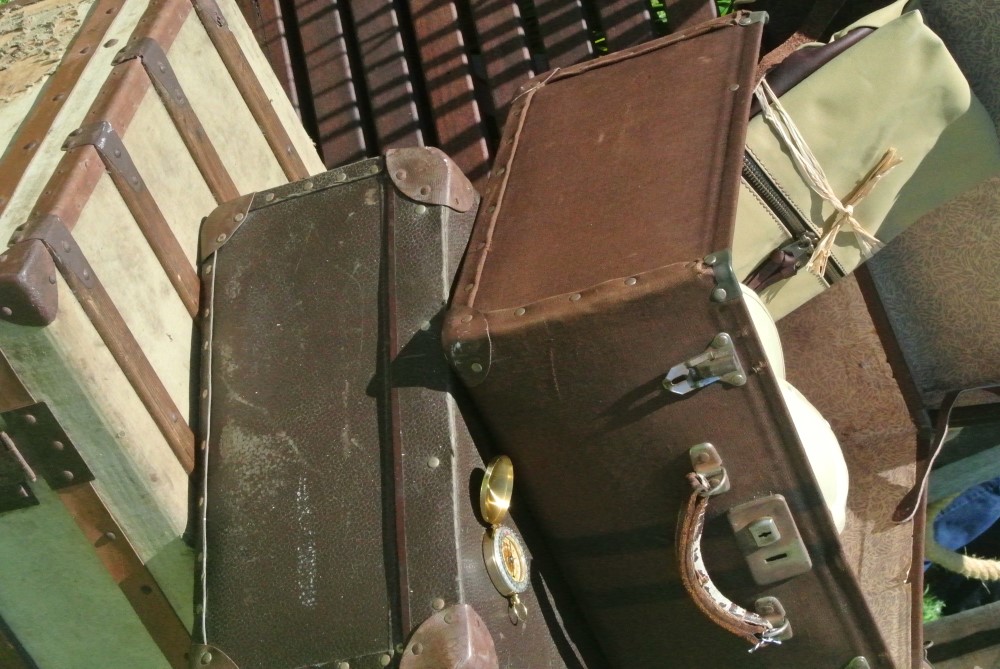 DSC 7554