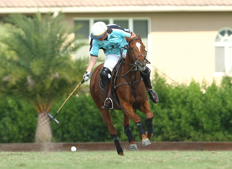 pologearfallcuppolomagazinepachecophotographypoloteams 2