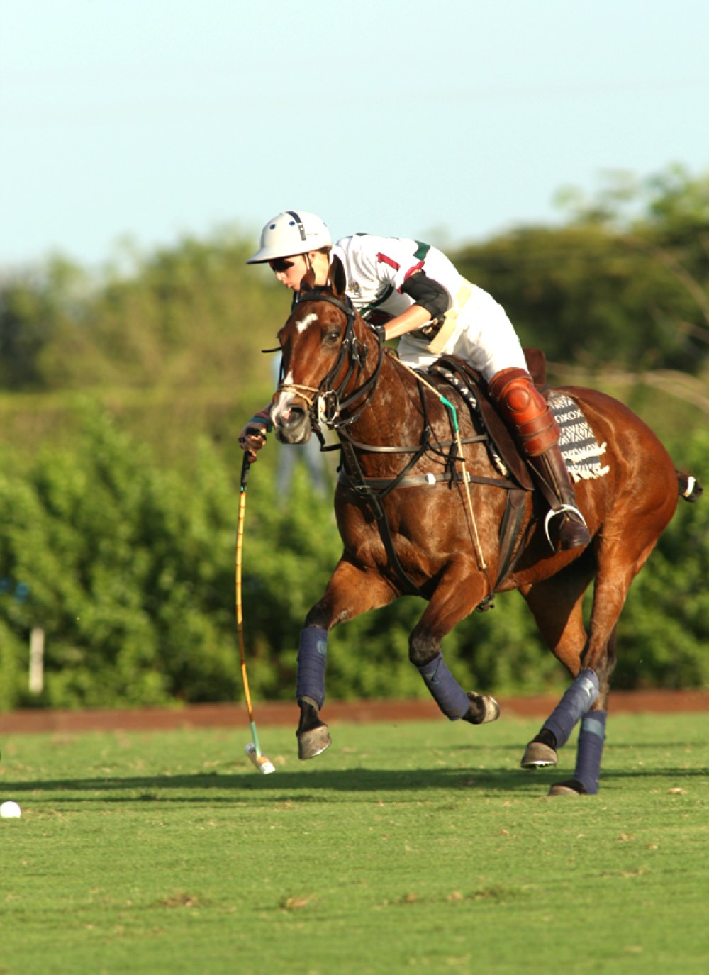 grandchampionspoloclubpolomagazinepbppolocuppolotournamentpacheco 5