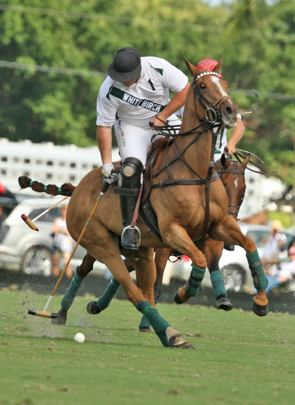 photos-white-birch-vs-audi-millarville-ylvisaker-cup 5 polomagazine.jpg