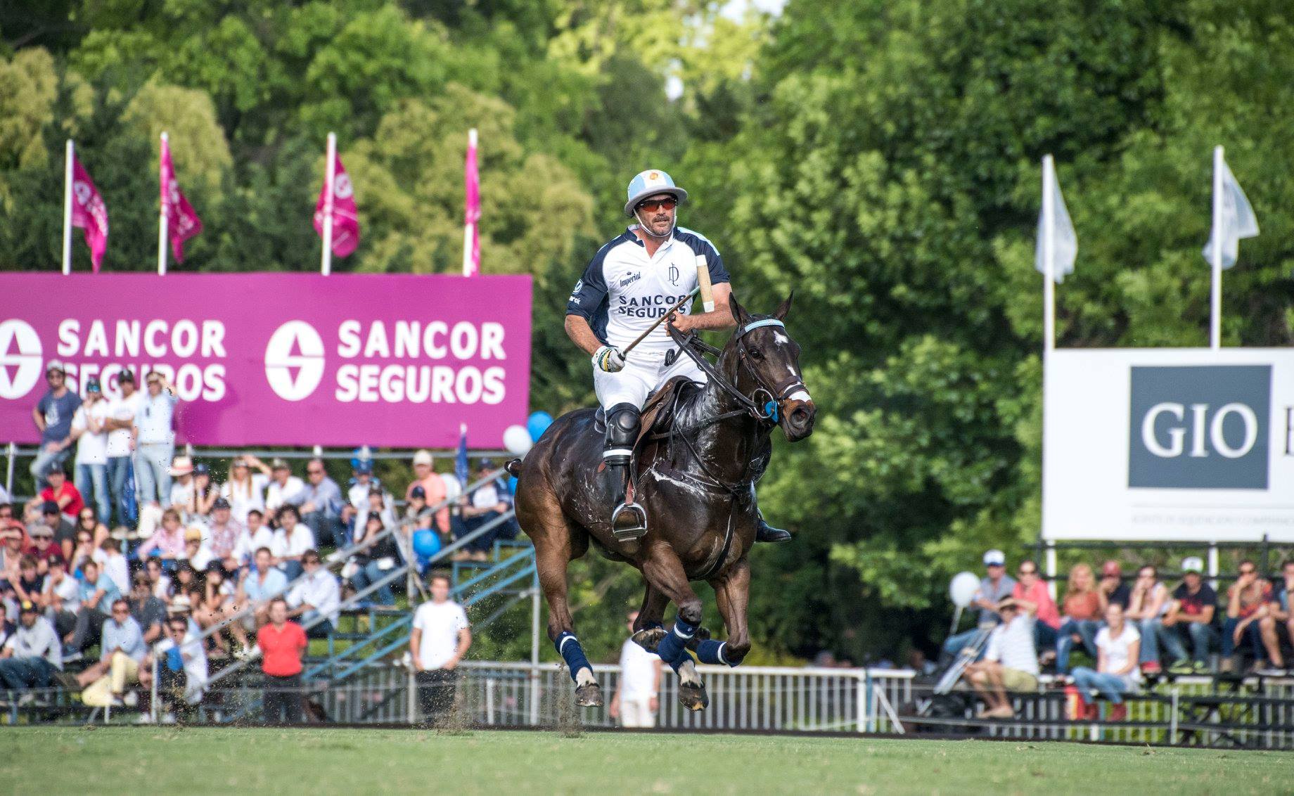 14753854 1804597239782081 925589004129523052 o