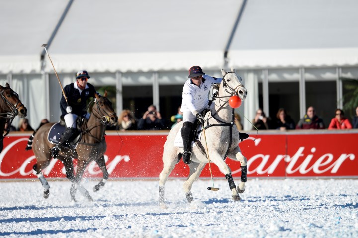 29 01 16-509 24665262756 o