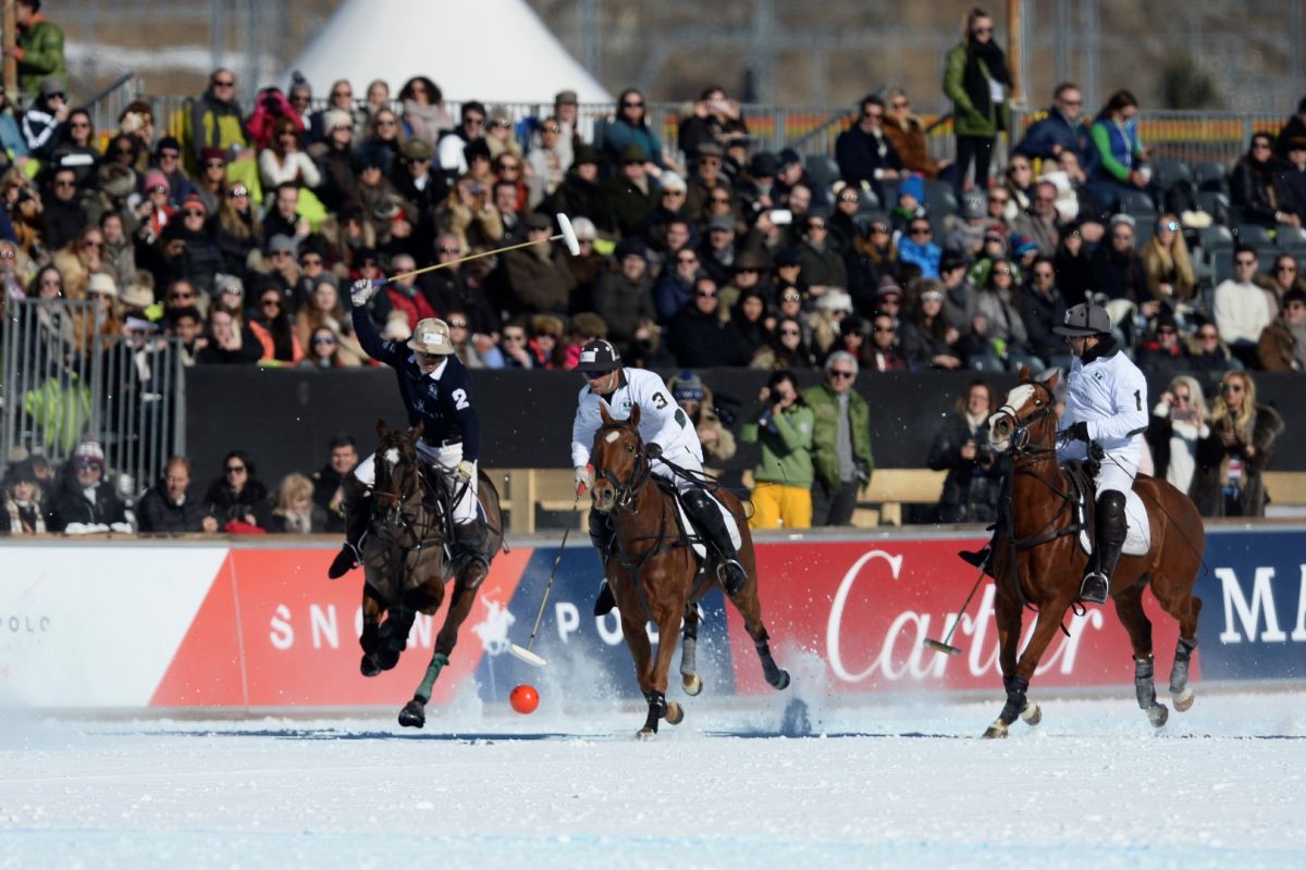 29 01 17-0246 32591418105 o