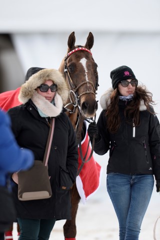 30 01 16-441 24598769612 o