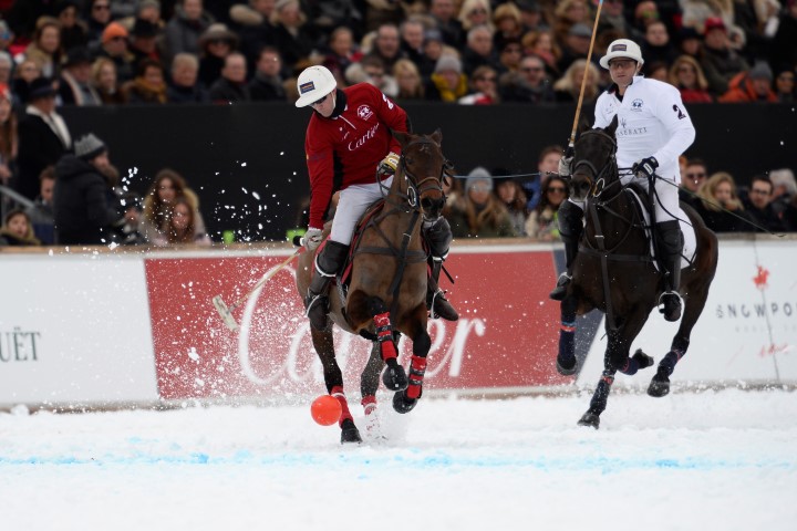 31 01 16-0817 24705481606 o