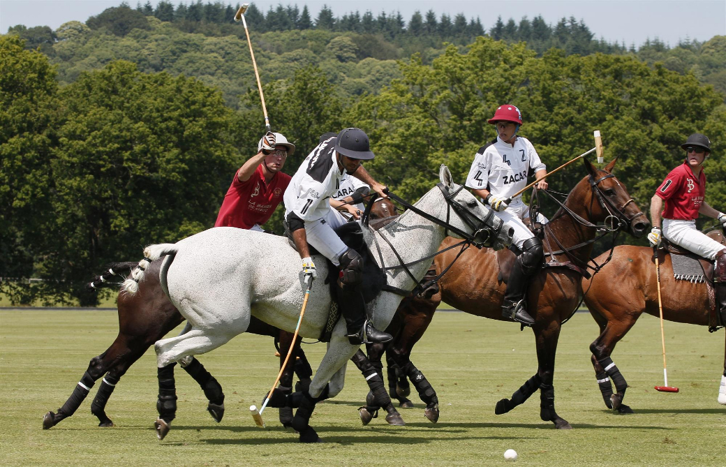 Go Facundo Pieres