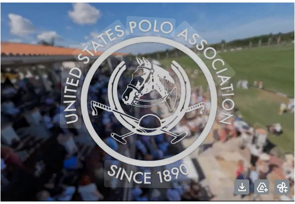 A League of Their Own