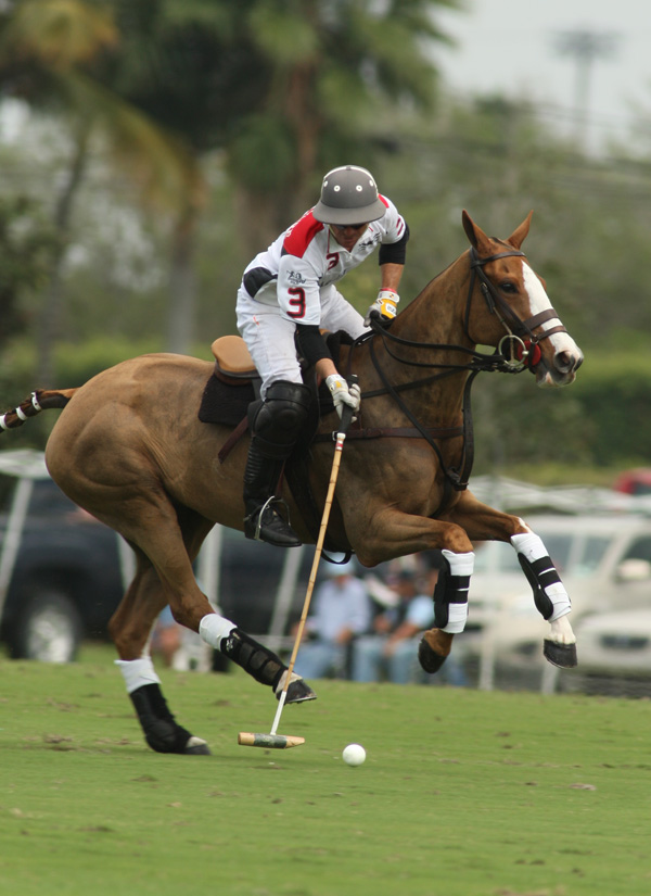 valiente polomagazine ylsvisaker polo team 3