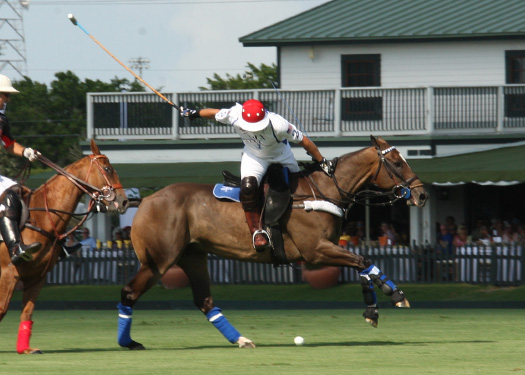 polomagazineusopenpolochampionshipsvalienteorchardhillpachecophotos 7